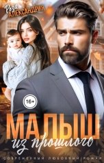 обложка книги Роза Александрия "Малыш из прошлого"