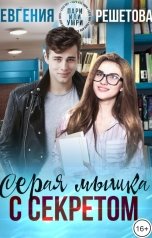 обложка книги Евгения Решетова "Серая мышка с секретом"