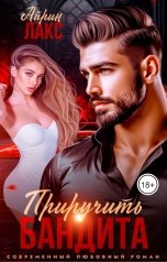 обложка книги Айрин Лакс "Развод. Приручить Бандита."