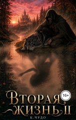 обложка книги К.Чудо "Вторая жизнь. Том 2"