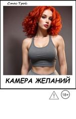 обложка книги Стас Трой "Камера желаний"