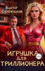 обложка книги Виктор Сапожников "Игрушка для триллионера"