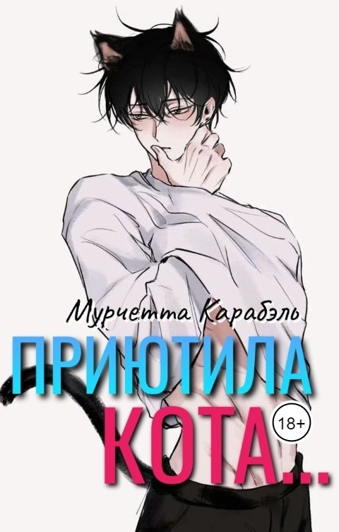 Обложка книги Мурчетта Карабэль Приютила кота...