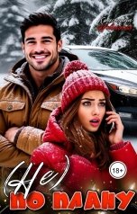 обложка книги Кристина Новицкая "(Не) по плану"