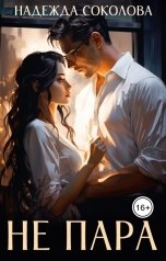 обложка книги Надежда Соколова "Не пара"