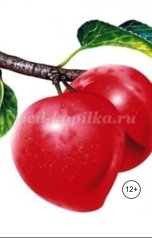 обложка книги Александр Посохов "Минипроза"