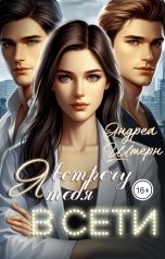обложка книги Андреа Штерн "Я встречу тебя в Сети"