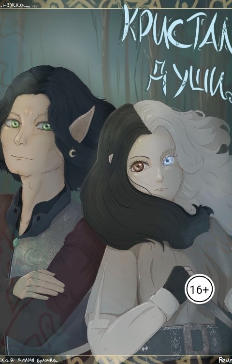 Обложка книги Ави Nix Кристалл души