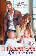 обложка книги Мила Гейбатова "Предатель. Мы (не) твои"