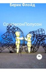 обложка книги Берик Флойд "СонНесонПолусон"