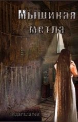 обложка книги Идагалатея "Мышиная метла"