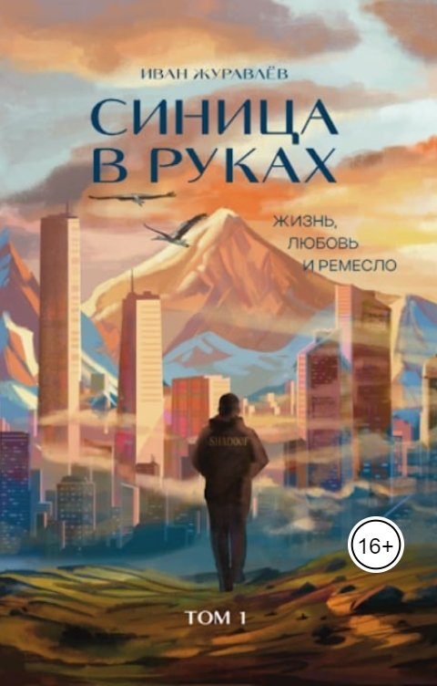 Обложка книги Writers Way Синица в руках