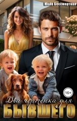 обложка книги Майя Бессмертная "Два чертёнка для бывшего"