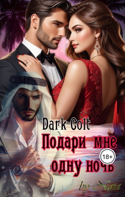 Обложка книги Dark Colt Подари мне одну ночь