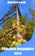 обложка книги Дмитрий Басов "Обрывки уходящего лета"