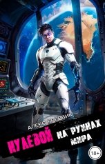 обложка книги Алекс Бредвик "Нулевой. Том 6. На Руинах Мира"
