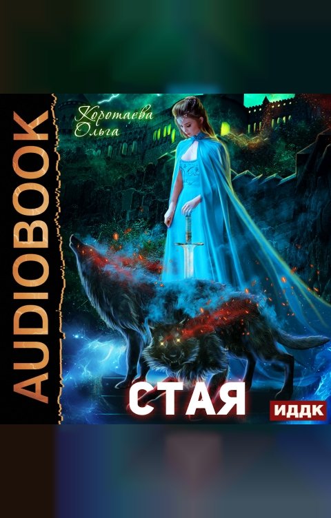 Обложка книги ИДДК Стая