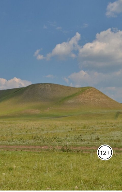 Обложка книги Путник История одного святого места.