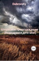 обложка книги DubrovsKy "Штормовое предупреждение (Возрадуемся, дети мои!)"