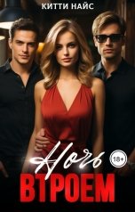 обложка книги Китти Найс "Ночь втроем"