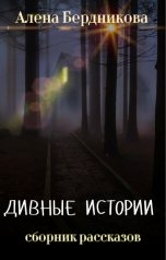 обложка книги Алёна Бердникова "Дивные истории"