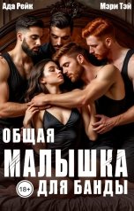 обложка книги Ада Рейк, Мэри Тэй "Общая малышка для банды"
