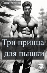 обложка книги Соня Арива "Три принца для пышки"