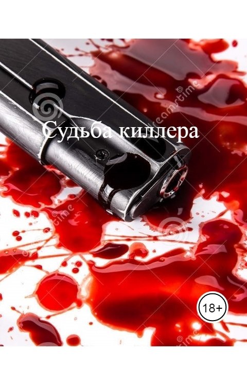 Обложка книги Владимир Платонов Судьба киллера