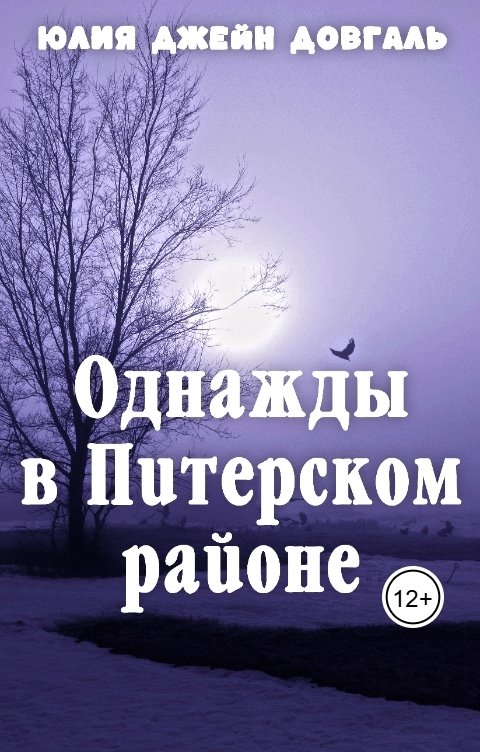 Обложка книги Юлия Джейн Довгаль Однажды в Питерском районе