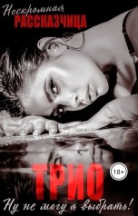 обложка книги Нескромная Рассказчица "Трио. Ну не могу я выбрать!"