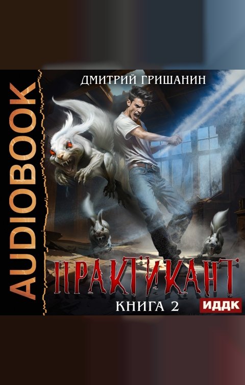 Обложка книги ИДДК Практикант. Книга 2