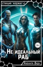 обложка книги Анеканта Вада "Не идеальный Раб"