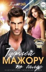 обложка книги Блю Рэй "Туфлей мажору по балде"