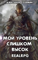 обложка книги Александр Соземин "Мой уровень слишком высок"