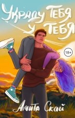 обложка книги Амита Скай "Украду тебя у тебя"