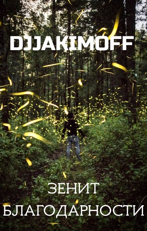 Обложка книги Василий Djjakimoff Зенит благодарности