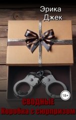 обложка книги Эрика Джек "Сводные. Коробка с сюрпризом"