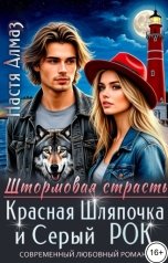 обложка книги Настя Алмаз "Красная Шляпочка и Серый РОК"