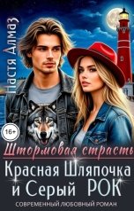 обложка книги Настя Алмаз "Красная Шляпочка и Серый РОК"
