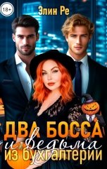 обложка книги Элин Ре "Два босса и ведьма из бухгалтерии"