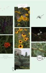 обложка книги dariastarosvetskova "Красота в прекрасном"