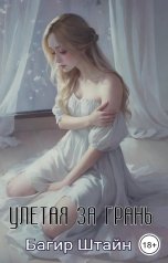 обложка книги Багир Штайн "Улетая за грань"