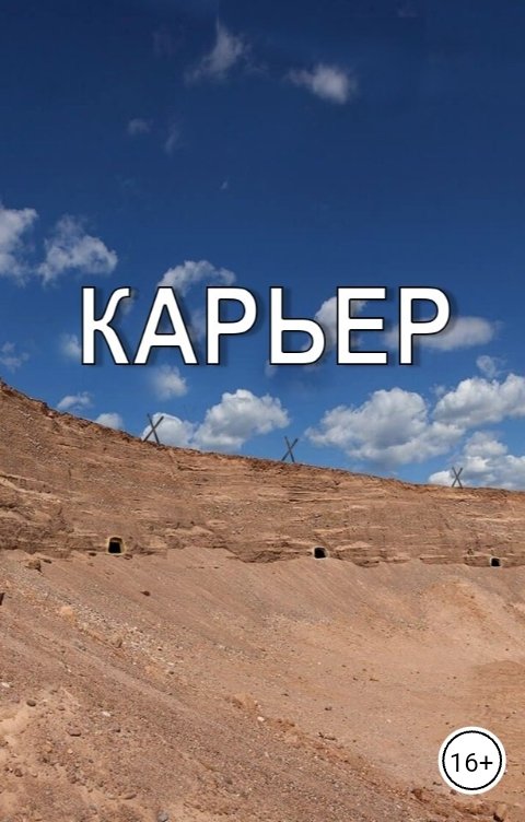 Обложка книги Потапов Константин Карьер