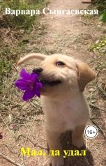 обложка книги Варвара Сынгаевская "Мал, да удал"