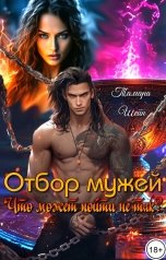 обложка книги Тамара Шейн "Отбор мужей. Что может пойти не так?"