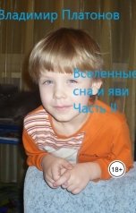 обложка книги Владимир Платонов "Вселенные сна и яви. Часть II"