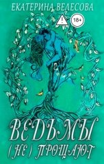 обложка книги Екатерина Велесова "Ведьмы (не) прощают"