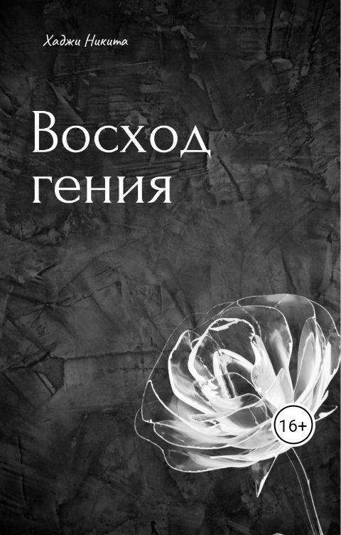 Обложка книги nichita.hadji.07 Восход гения