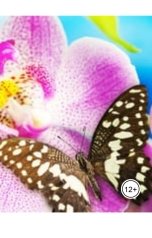 обложка книги Александр Посохов "Басни про насекомых"