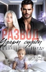 обложка книги НатДу "Развод. Удары судьбы"